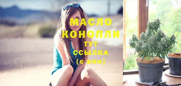 гашик Няндома