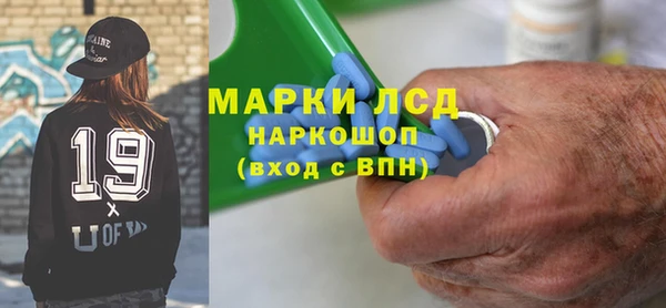 шишки Болотное