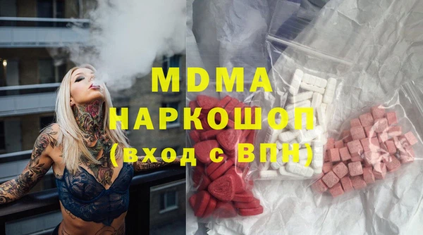 гашик Няндома