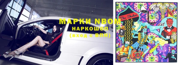 гашик Няндома