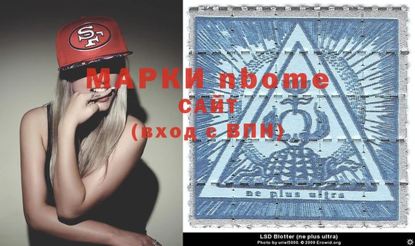 гашик Няндома