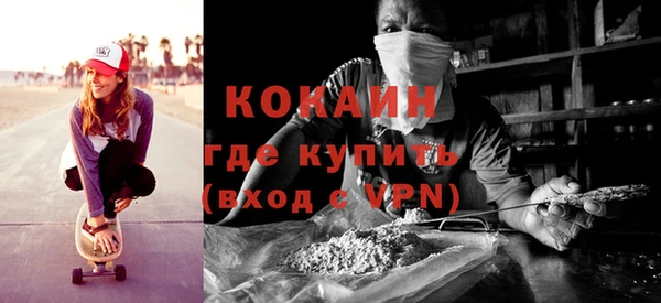 гашик Няндома