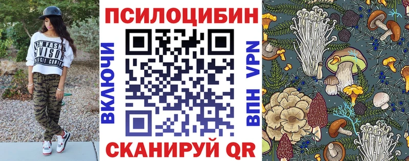 Галлюциногенные грибы Psilocybine cubensis  Константиновск 